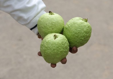 別錯過！營養師高敏敏：芭樂是「維生素C之王」，８好處吃對抗發炎、控血壓