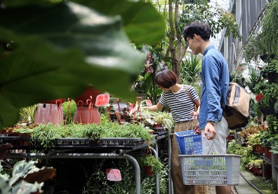 2朵切花有1朵是這裡種的 大員林讓台灣花木揚名國際