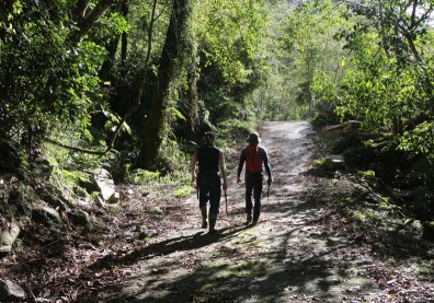 國家對不起你們：高危險森林護管員月薪25K至33K