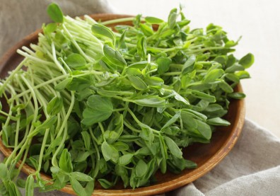 豌豆苗促進代謝又防癌，煮湯食用更能保留營養