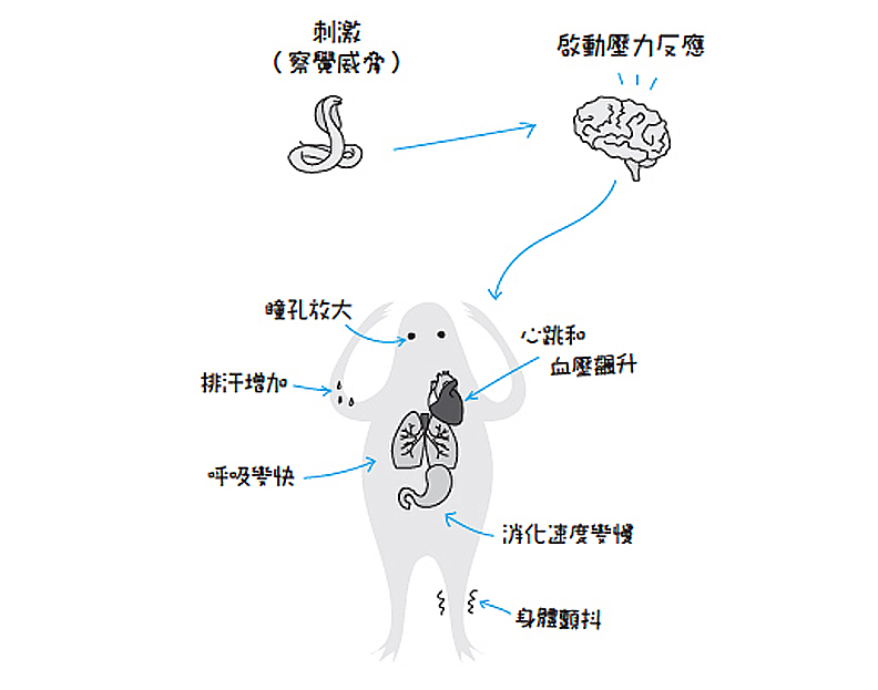 放下—放下—放下!少一點工作熱情,多留點時間給你愛的人_img_4