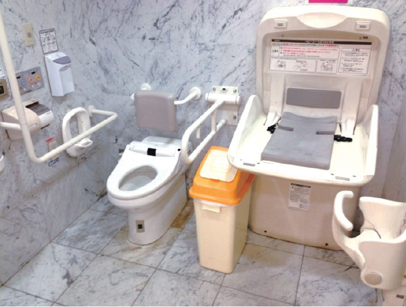 日本免治馬桶：從山寨貨，一路超車逆襲到領先全球_img_1