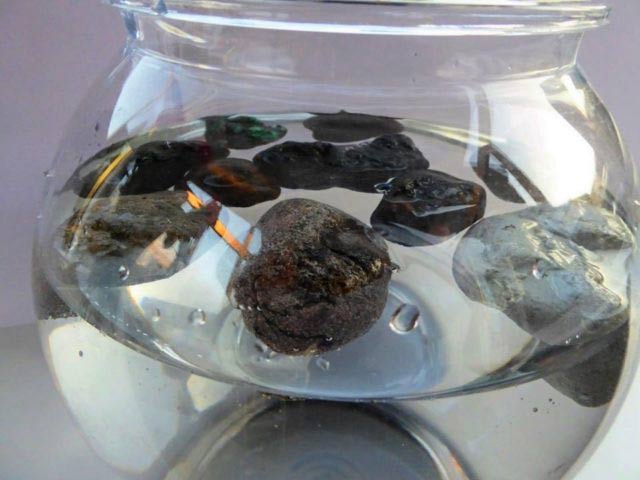 這些並不是常見的沙灘石頭...其實都是「塑膠石」_img_1