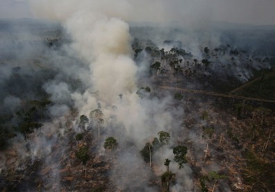 亞馬遜森林史上最慘火災，「地球之肺」恐變草原？