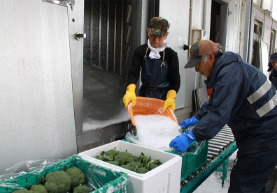 日本最大蔬果配送通路 Farmind教你把水果變好吃