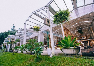 嘉義空氣圖書館仙氣繚繞 帶你走進歷史「森呼吸」