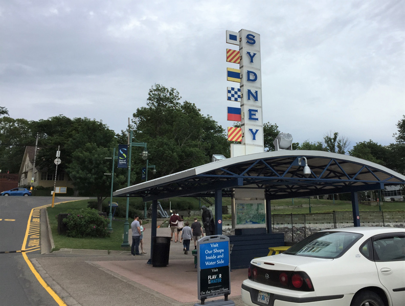 這不是澳洲的雪梨！你沒聽過的「雪梨」有世界最大的小提琴_img_13