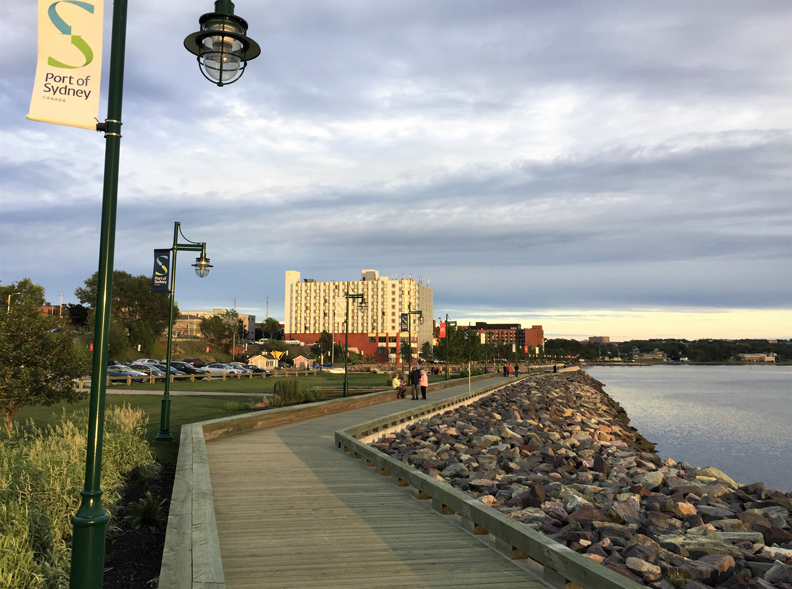 這不是澳洲的雪梨！你沒聽過的「雪梨」有世界最大的小提琴_img_3