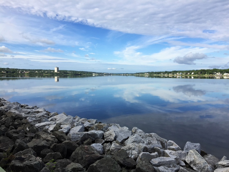 這不是澳洲的雪梨！你沒聽過的「雪梨」有世界最大的小提琴_img_9
