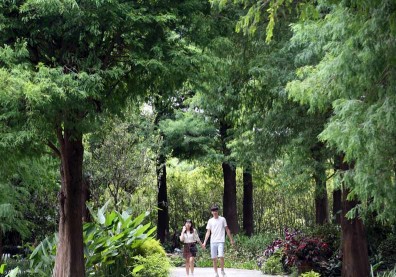 三種路線玩台灣：森林、品味、田園你是哪一系？