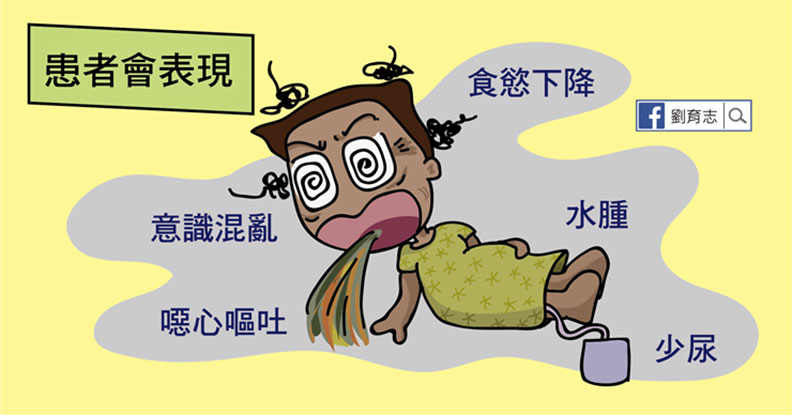 短時間內腎功能急速敗壞!急性腎衰竭的原因及症狀_img_2