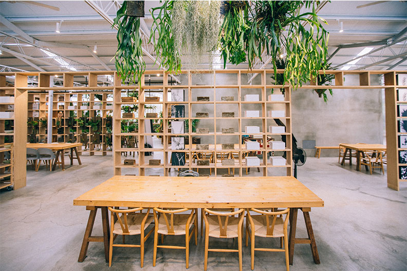 嘉義空氣圖書館仙氣繚繞 帶你走進歷史「森呼吸」_img_1