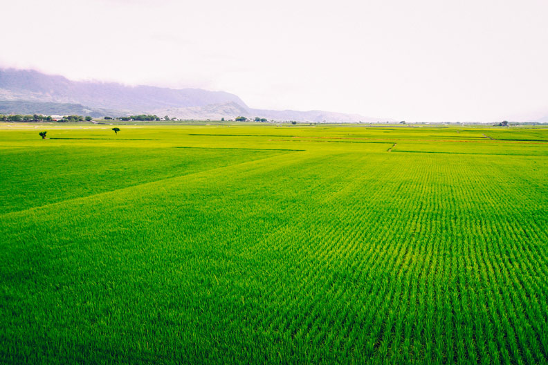 九份才第10名、墾丁第5名!外國人來台一定要去的景點是哪?_img_4