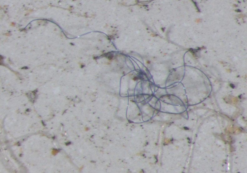 下塑膠雨了!科學家證實:已在雨水中發現了塑膠微粒_img_2