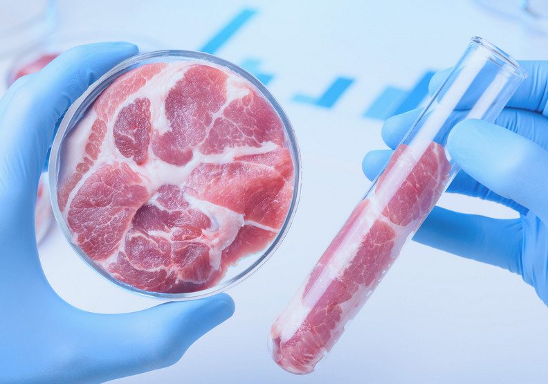 全球暖化的救星？「未來肉」將帶動的畜牧業大革命_img_4