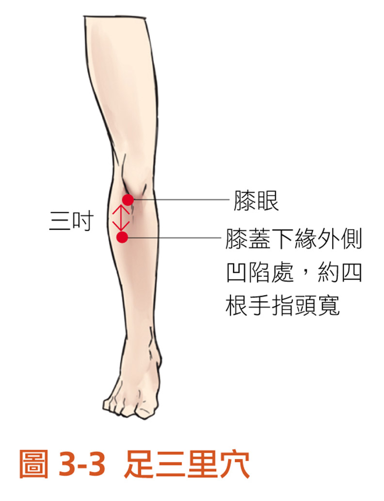 中醫快速急救法:血壓降低昏倒時可先捏這 2 個穴位_img_4