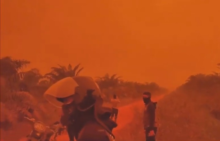 天空下起血雨?印尼農民自私行為,燒出不可收拾森林大火_img_1