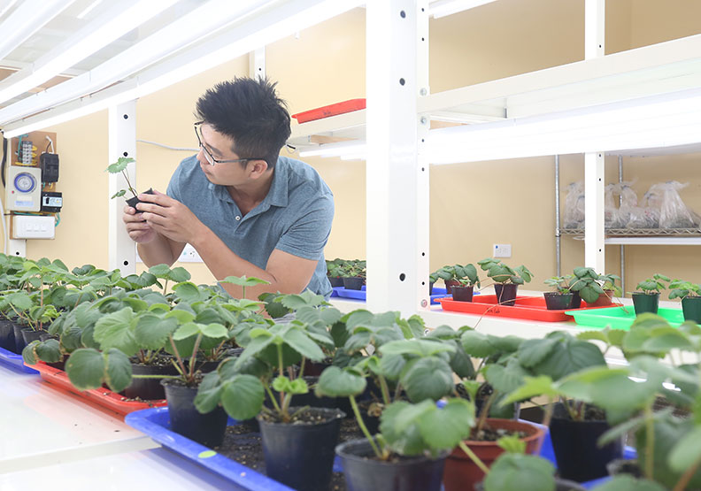 生科學群被譽為未來最重要產業；圖為中興大學生科學院。