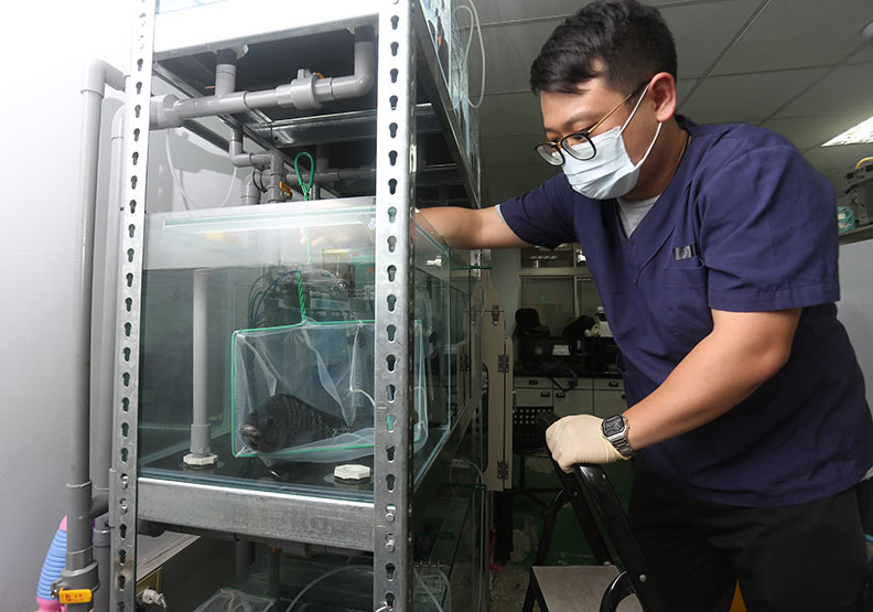 生資學群科系近年跳脫過往刻板印象，走入大眾生活；圖為中興大學獸醫學系所實驗室。