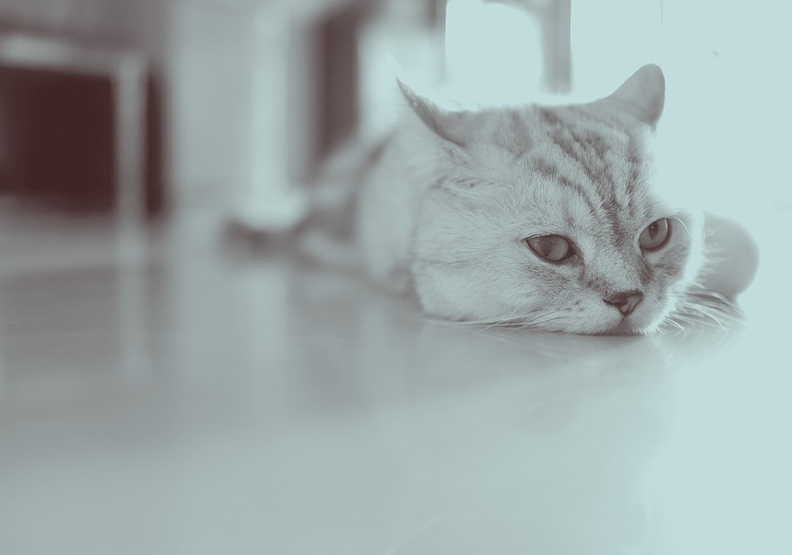 僅為情境配圖。圖片來源：pixabay