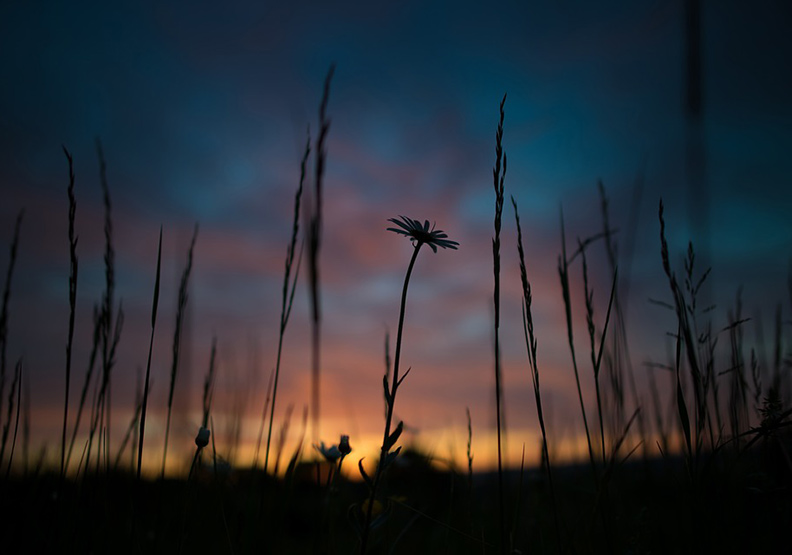 僅為情境配圖。圖片來源：pixabay