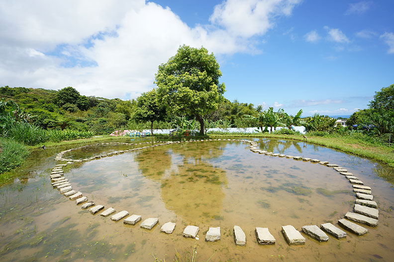 蕭學苑復育家鄉水梯田,並結合農旅觀光,讓遊客感受山林田野風情。