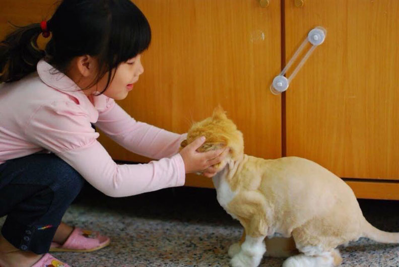 寵物來作伴,解憂特效藥_img_2