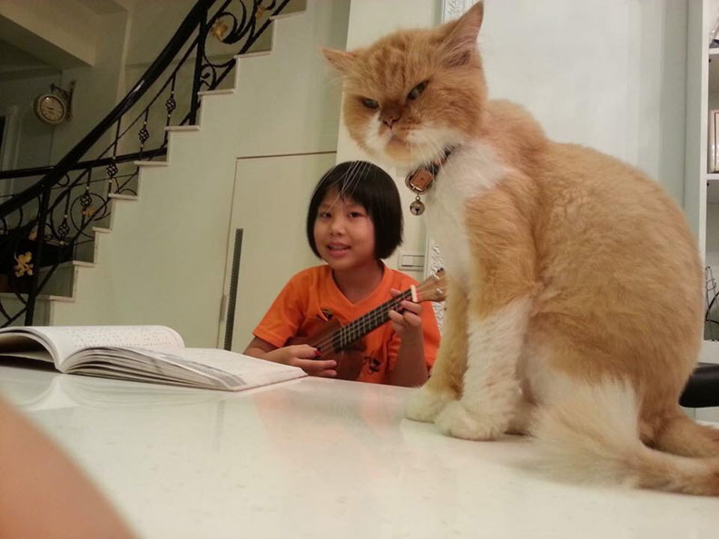 寵物來作伴,解憂特效藥_img_3