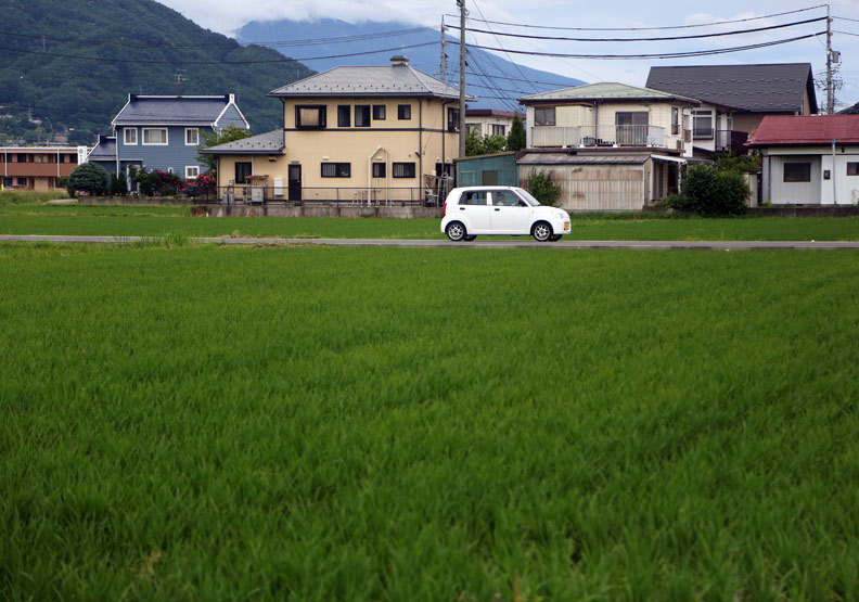 「認知症老人飛彈」傷害自己,危及他人_img_1