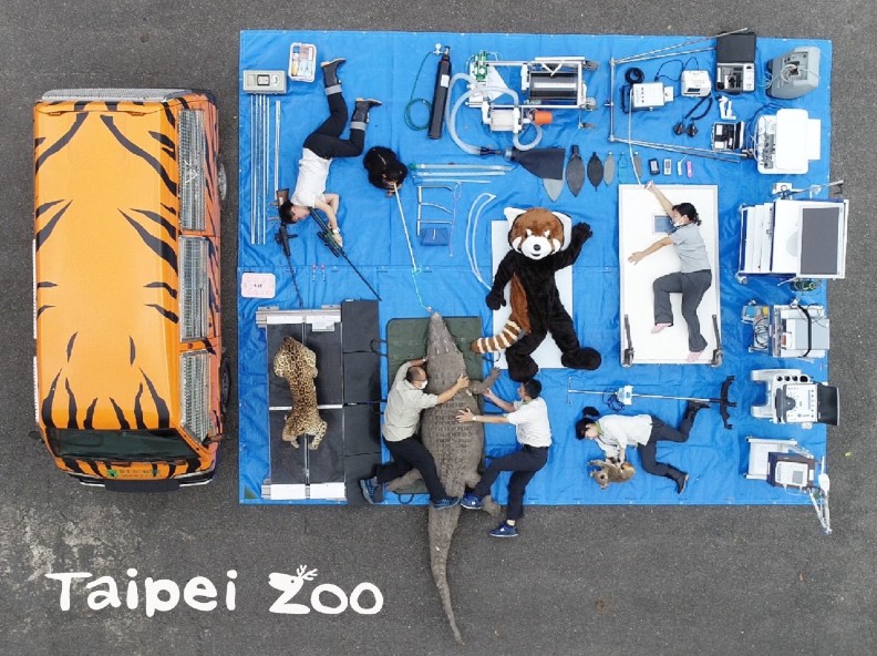 最狂開箱你分享沒？100斤巨蟒、豬腳、瓦斯桶都入鏡了_img_7