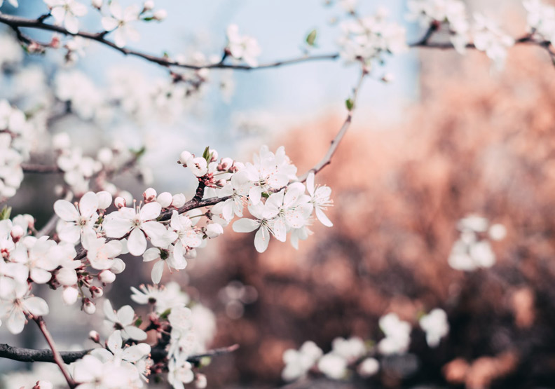 僅為情境配圖。圖片來源：pixabay