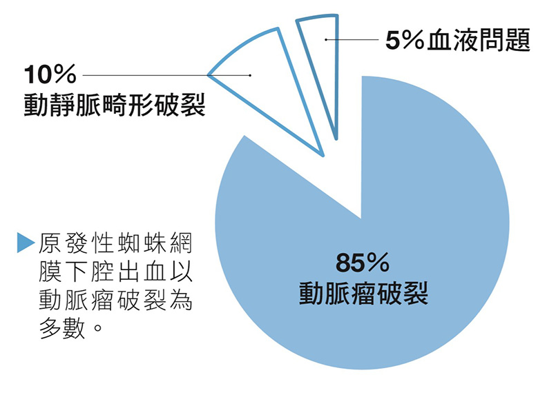蜘蛛網膜下腔出血是「爆炸般的頭痛」!若三度出血致死率百分百_img_2