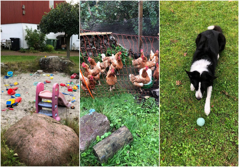 丹麥的四合院_img_2