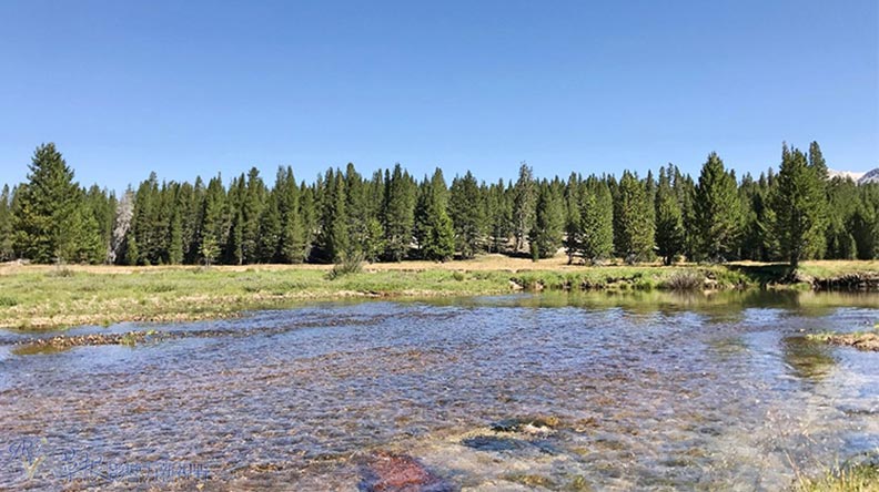 夏季限定美景:二訪「優勝美地」不能錯過的冷門景點!_img_16