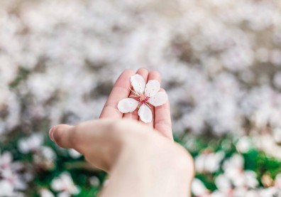 不要用過去的付出，勒索未來的幸福！