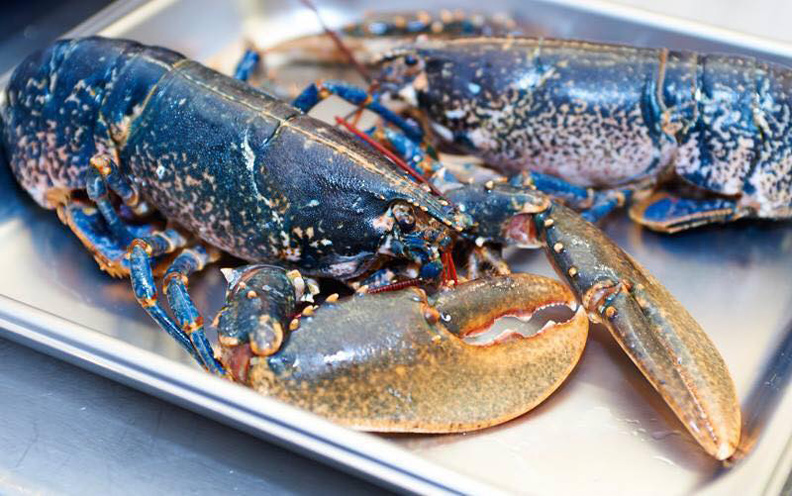 10大頂級鐵板燒：全球首間摘下米其林一星的鐵板燒餐廳也上榜！_img_10