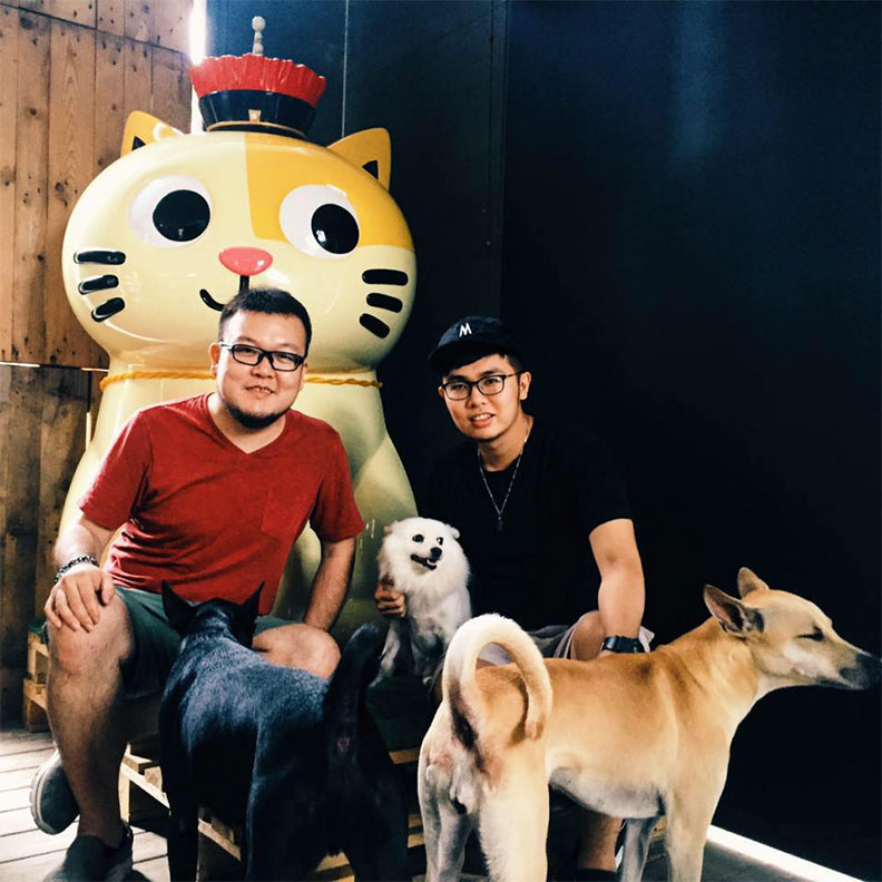 毛小孩醫療費花10萬，「最省荷包」寵物險攻略在這_img_1