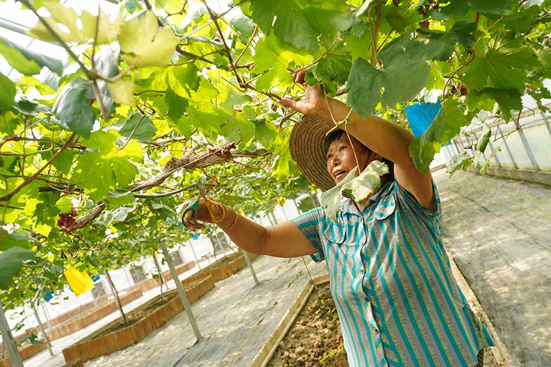 木材、房地產都有敏實身影！興趣涉獵廣泛，秦榮華對木頭情有獨鍾_img_1