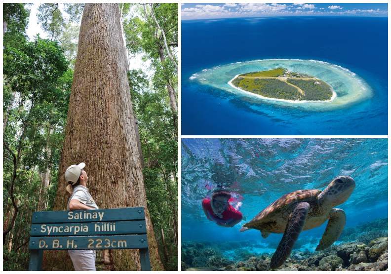 澳洲首創生態旅遊認證制 兼顧環保又拉抬經濟_img_1