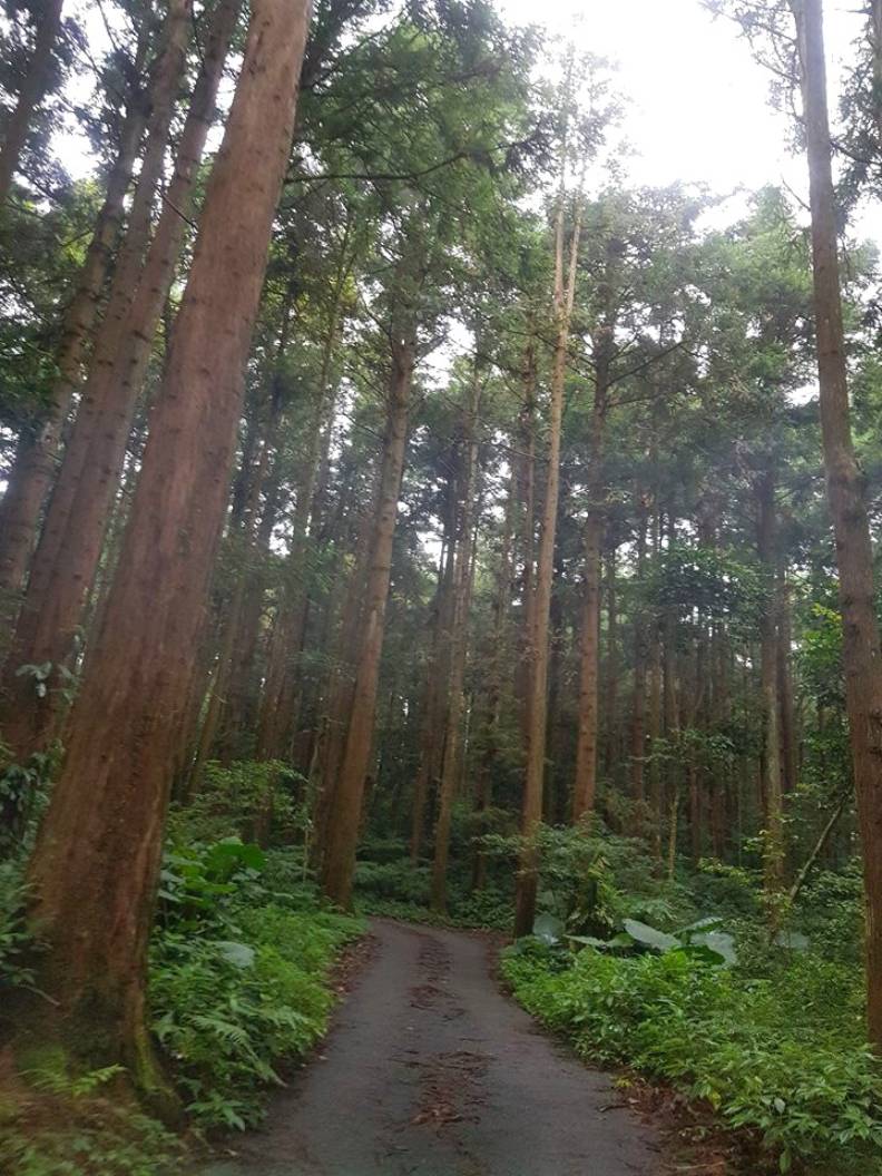 到底是誰讓「台灣的合掌村」變成垃圾場？_img_2