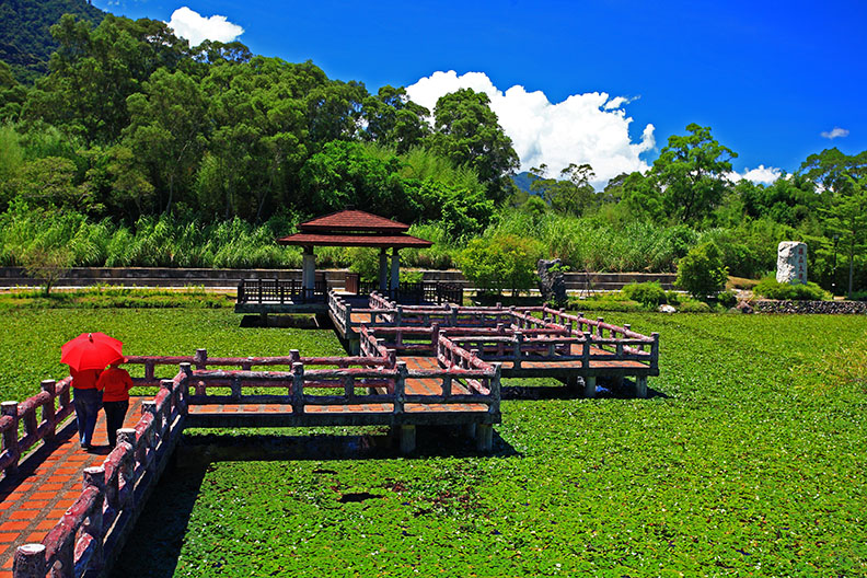 有機農業現在進行式 奠定花蓮幸福未來式_img_4