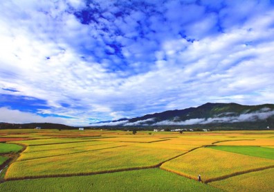 有機農業現在進行式 奠定花蓮幸福未來式