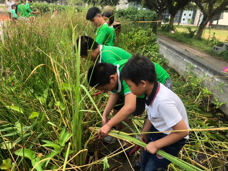 吃飯大有學問！台灣比日本慢14年的《食農教育法》還是出不來_img_1