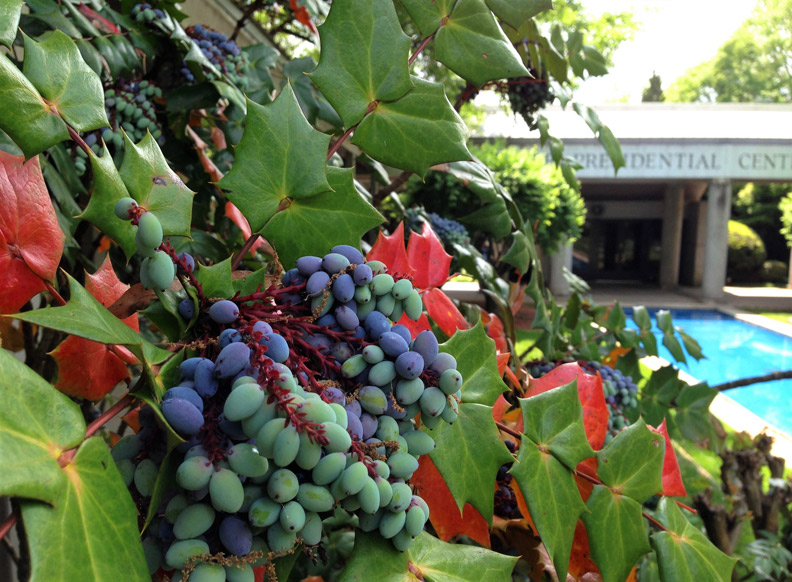 美國總統圖書館:踏入仿白宮辦公室,感受運籌帷幄的氣氛!_img_15