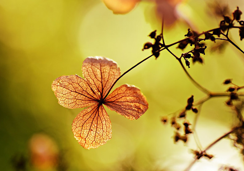 僅為情境配圖。圖片來源：pixabay