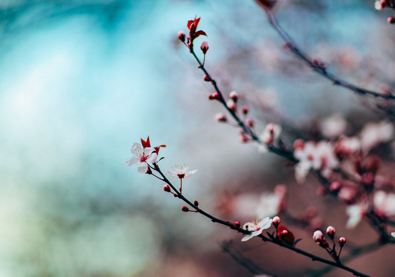 僅為情境配圖。圖片來源：pixabay