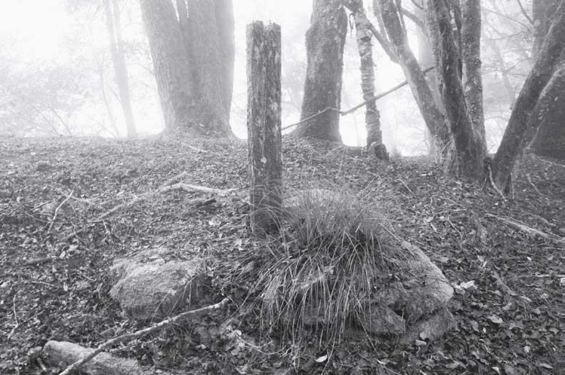 只剩石碑與歌聲，我們可以保留多少布農族曾經的悲情？_img_3