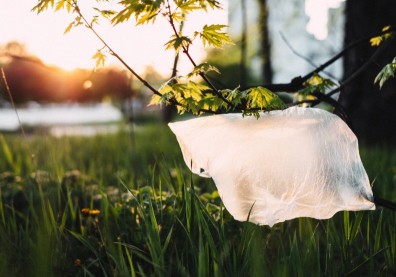 大腦中塑膠微粒含量增加中？研究：恐與中風、心臟病有關