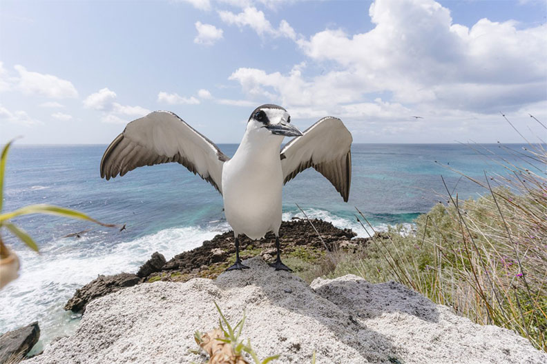人間天堂在這裡！「這個島」獲選全球五大值得造訪景點_img_2