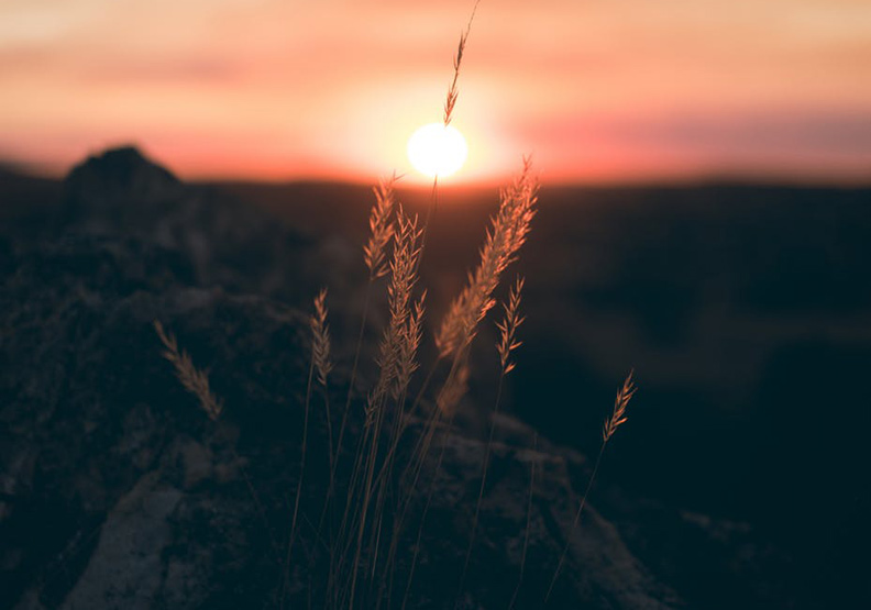 僅為情境配圖。圖片來源：pixabay